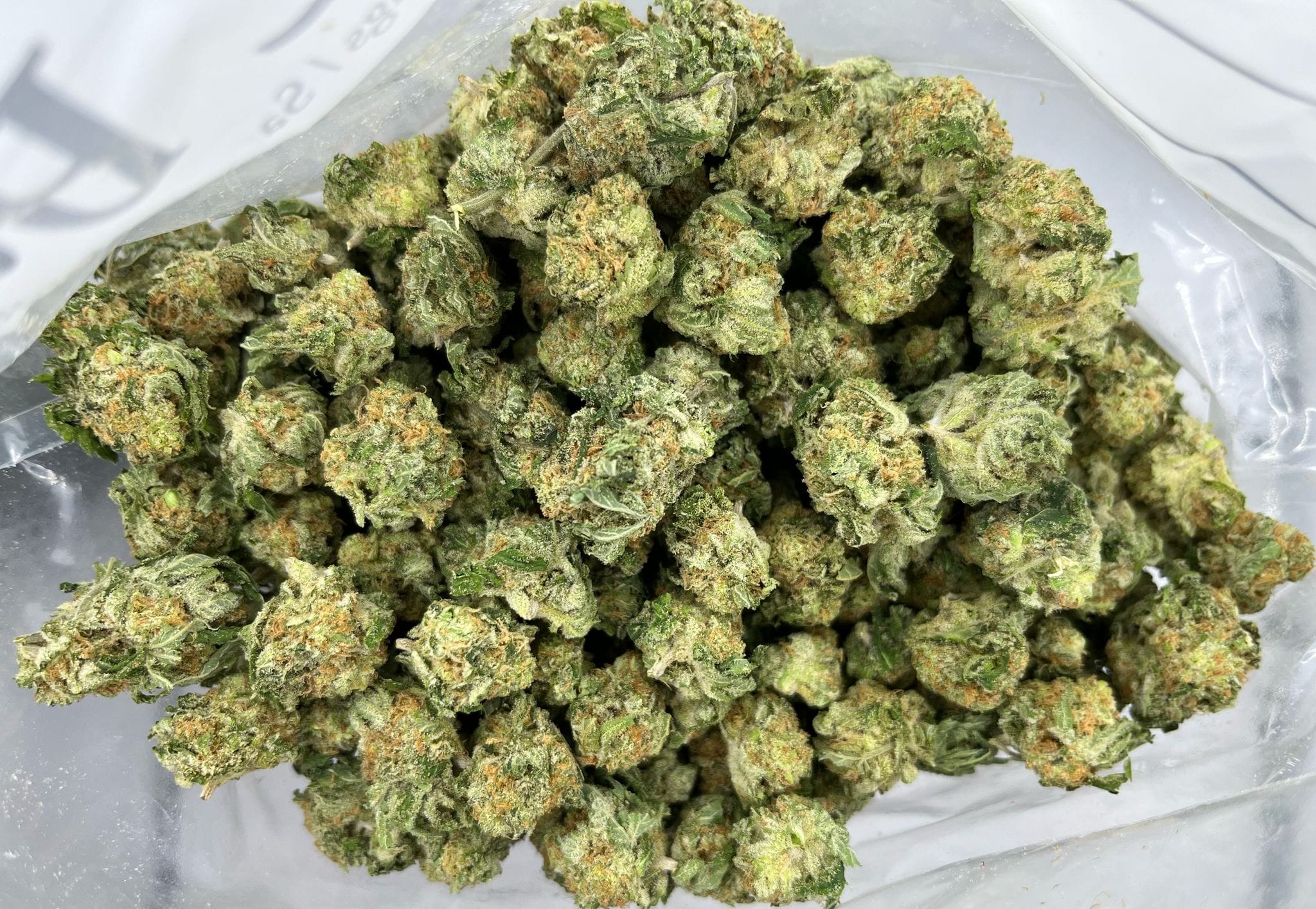 Chem Scout