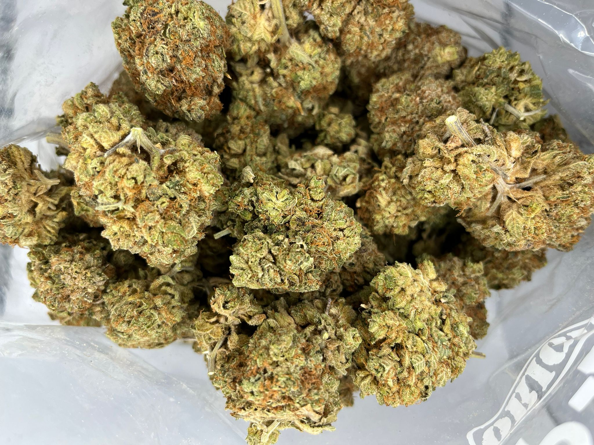 Budget Oz – Raspberry Cough