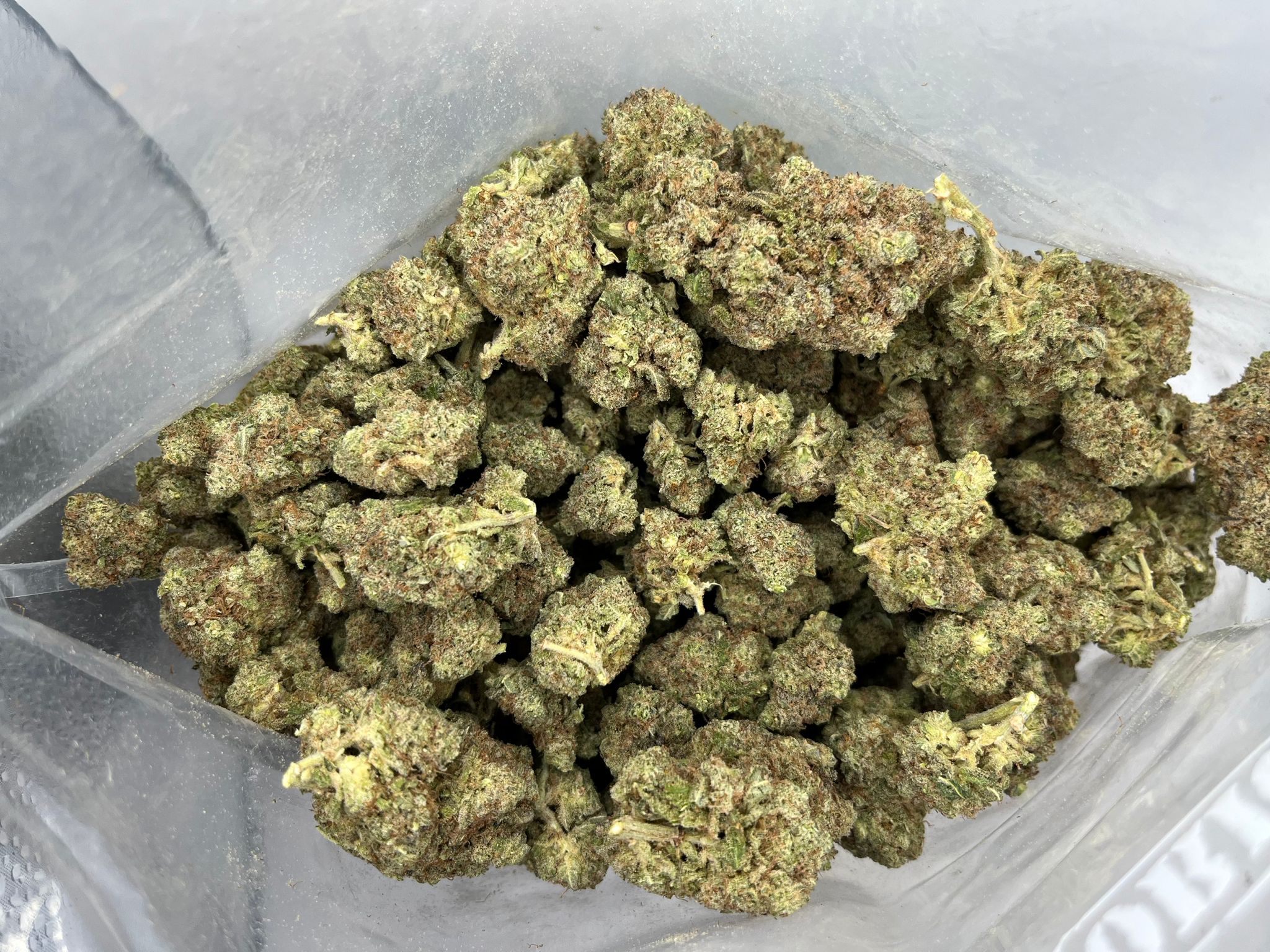GG1