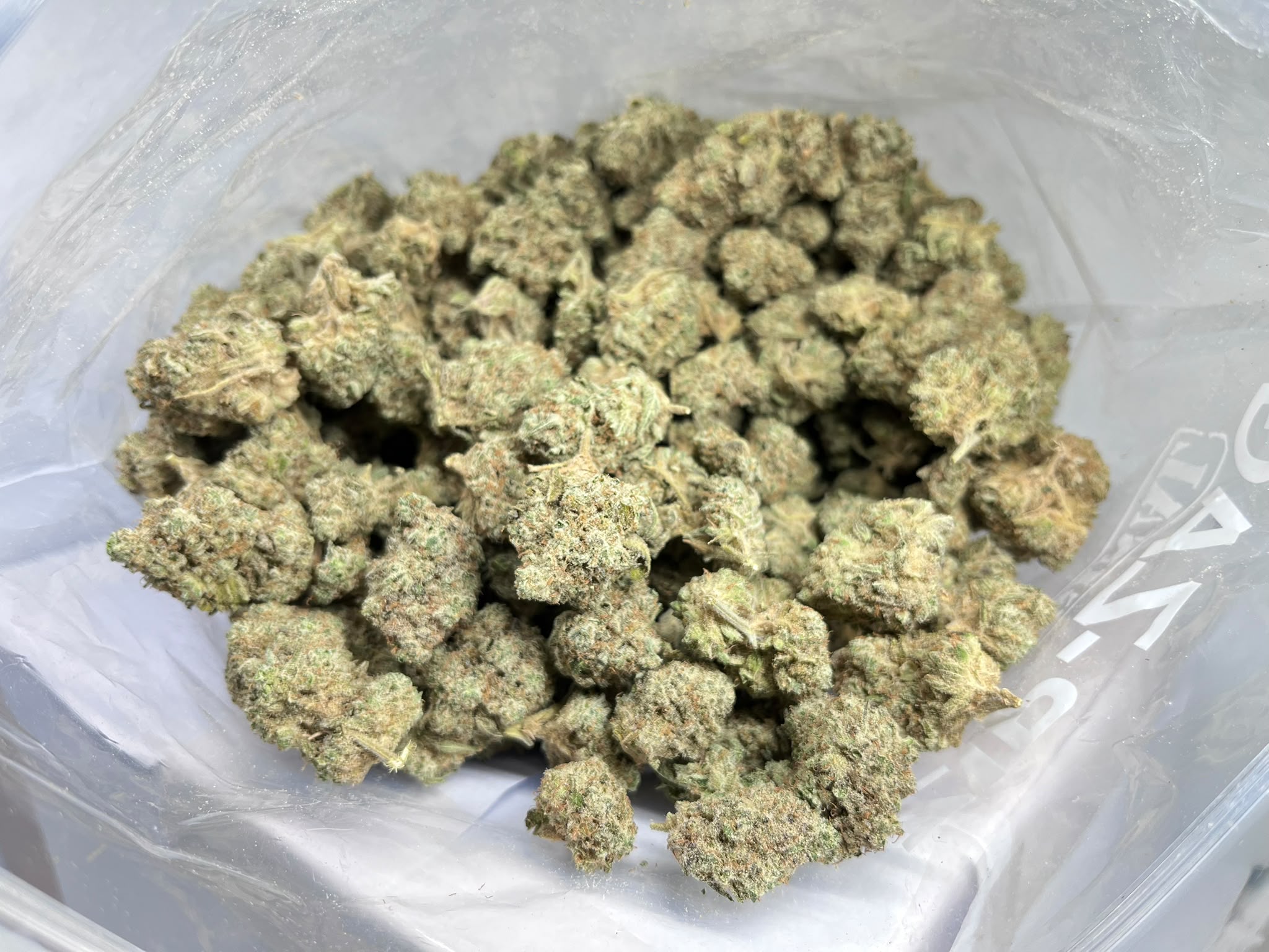 Green Dream
