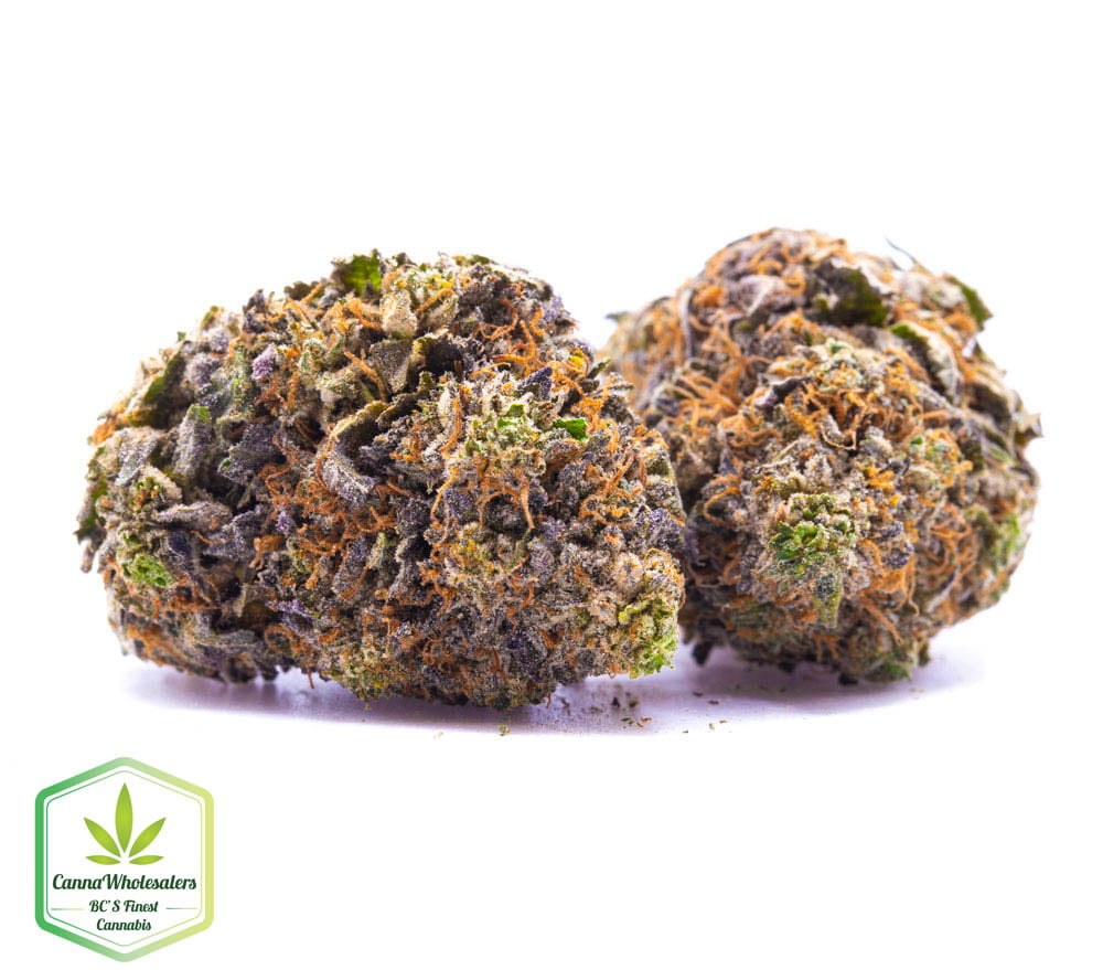 Master Kush