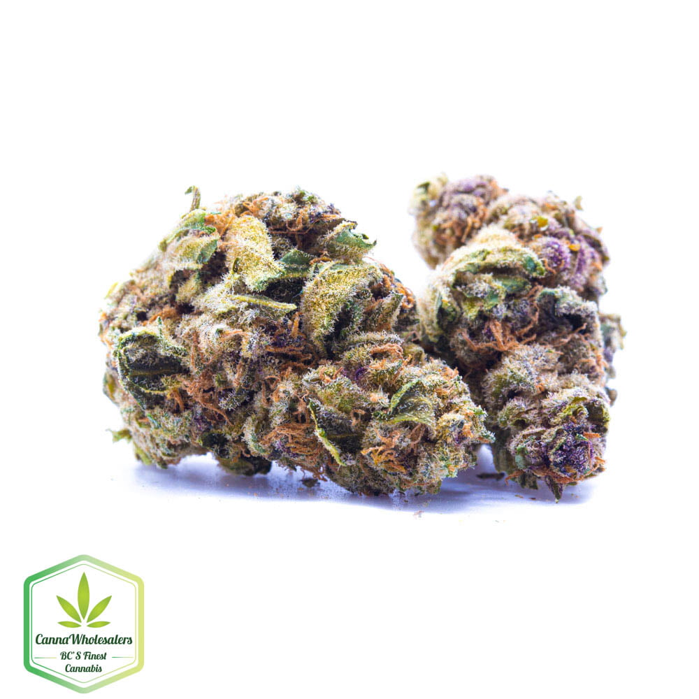 Purple Haze
