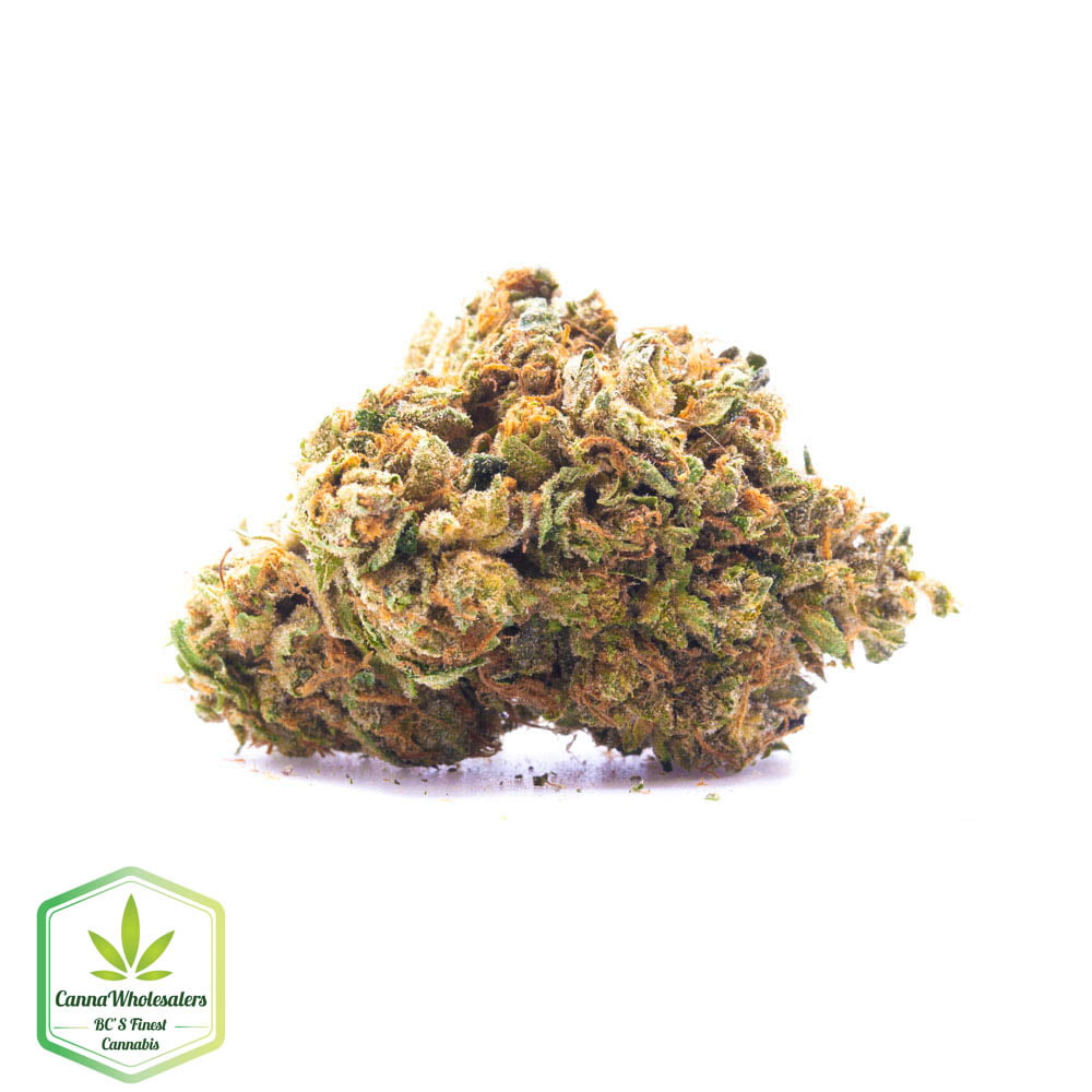 Hindu Kush