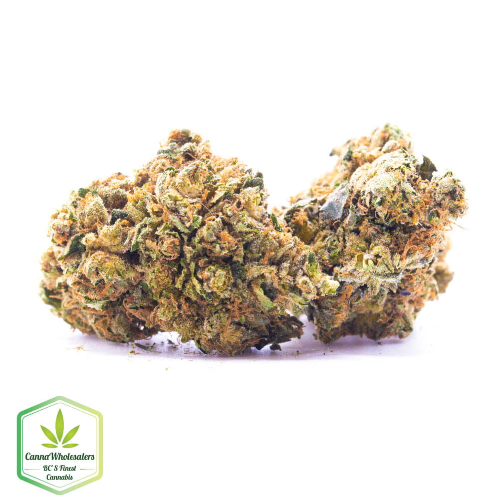 Hindu Kush
