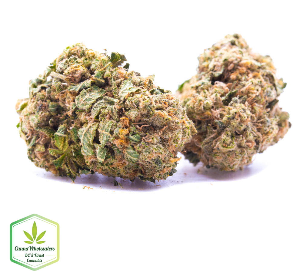 Budget Oz – Rockstar Tuna