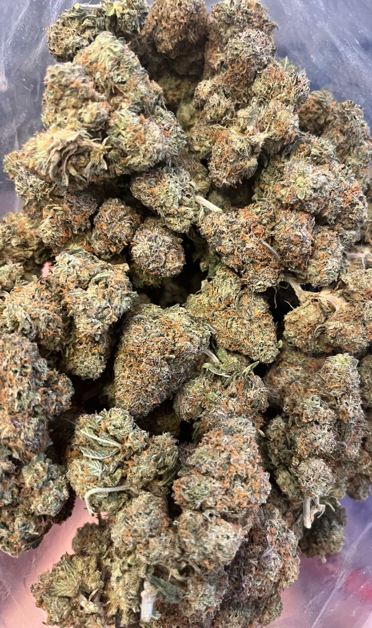 Kimbo Kush