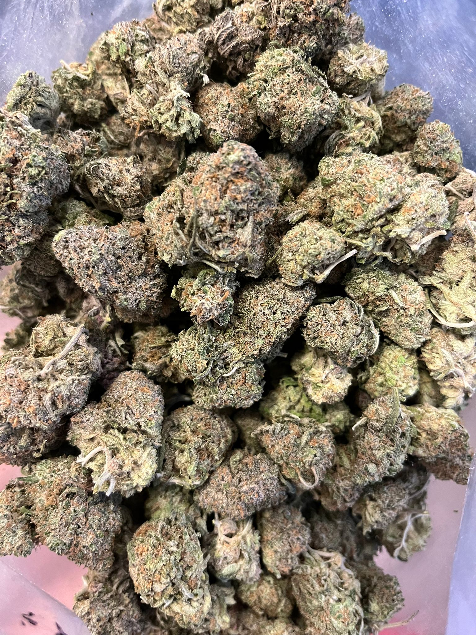 Casey Jones