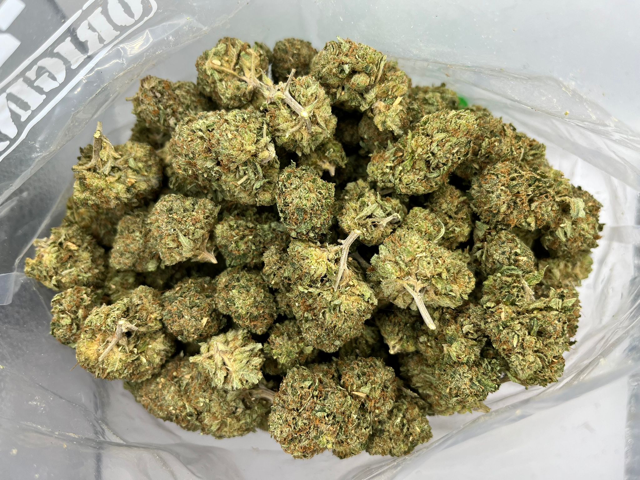 Tuna Kush