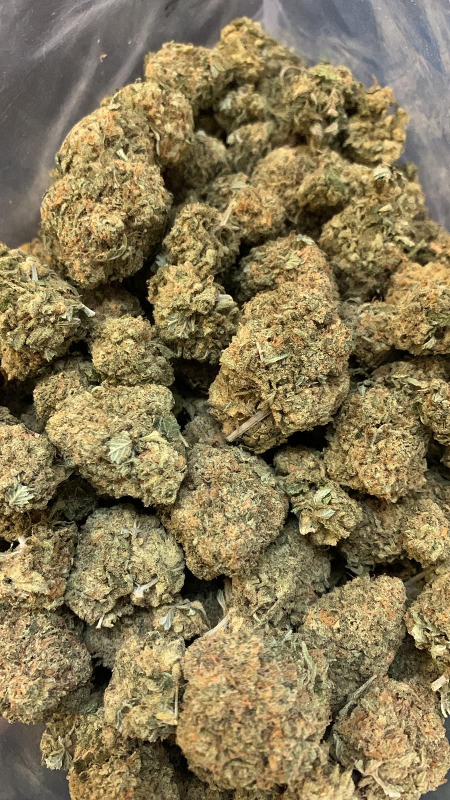 MK Ultra