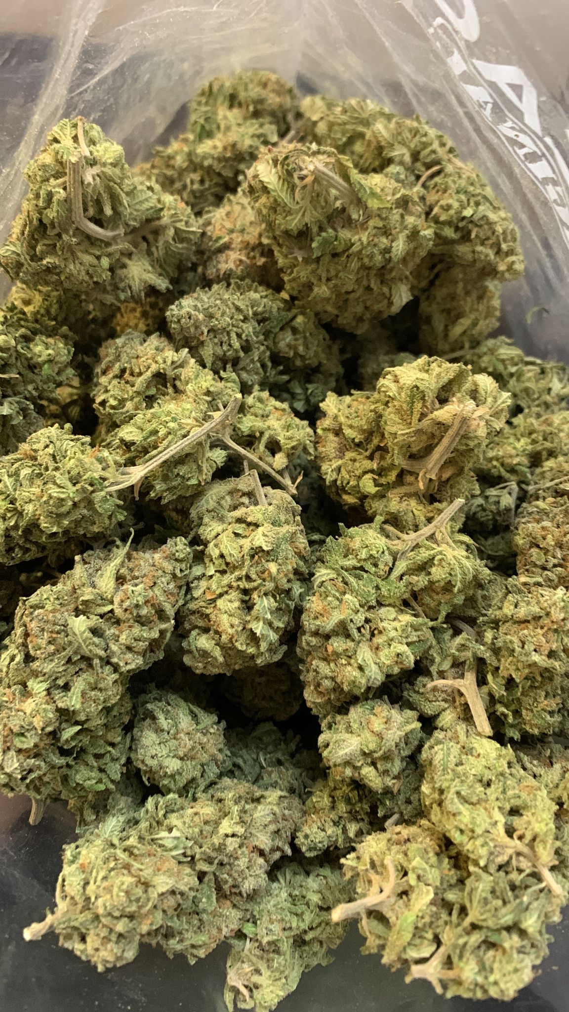 Pink Rockstar