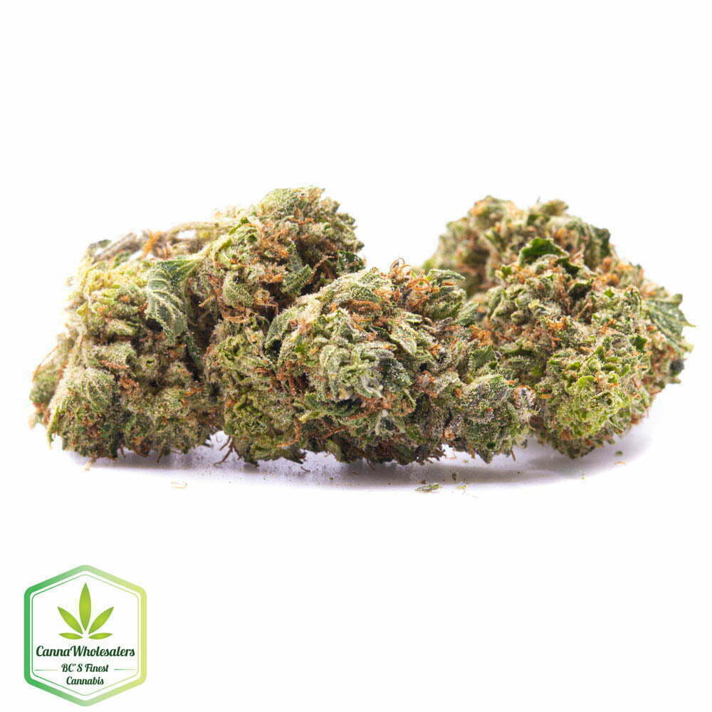 Budget Oz – Royal Kush