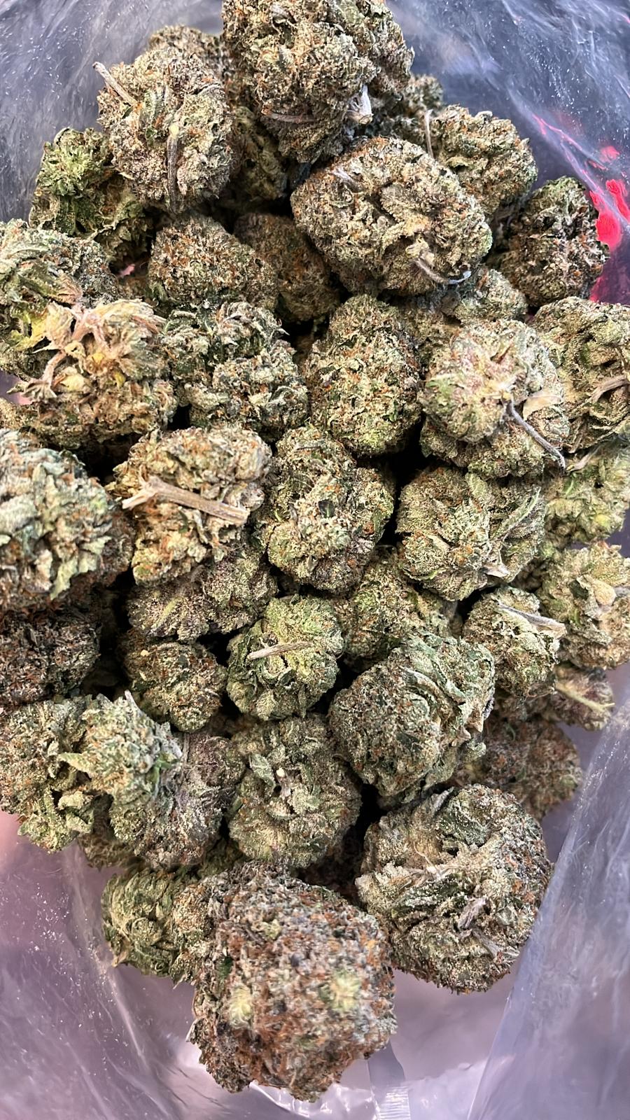 El Jefe