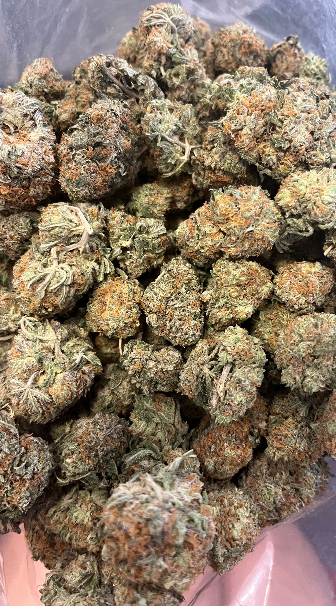 Strawberry Blonde