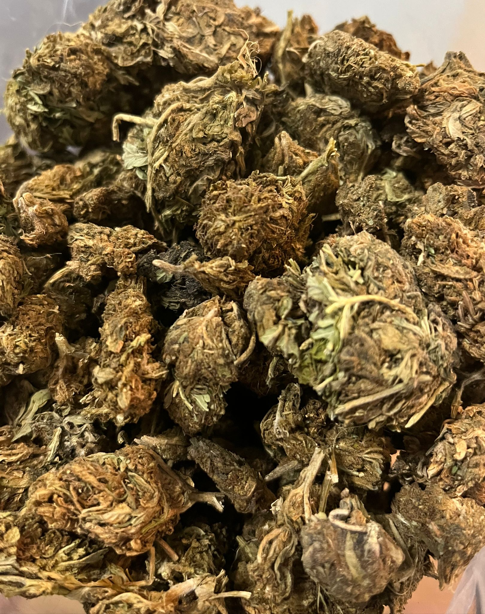 Budget Oz – Greenhouse – Triple OG