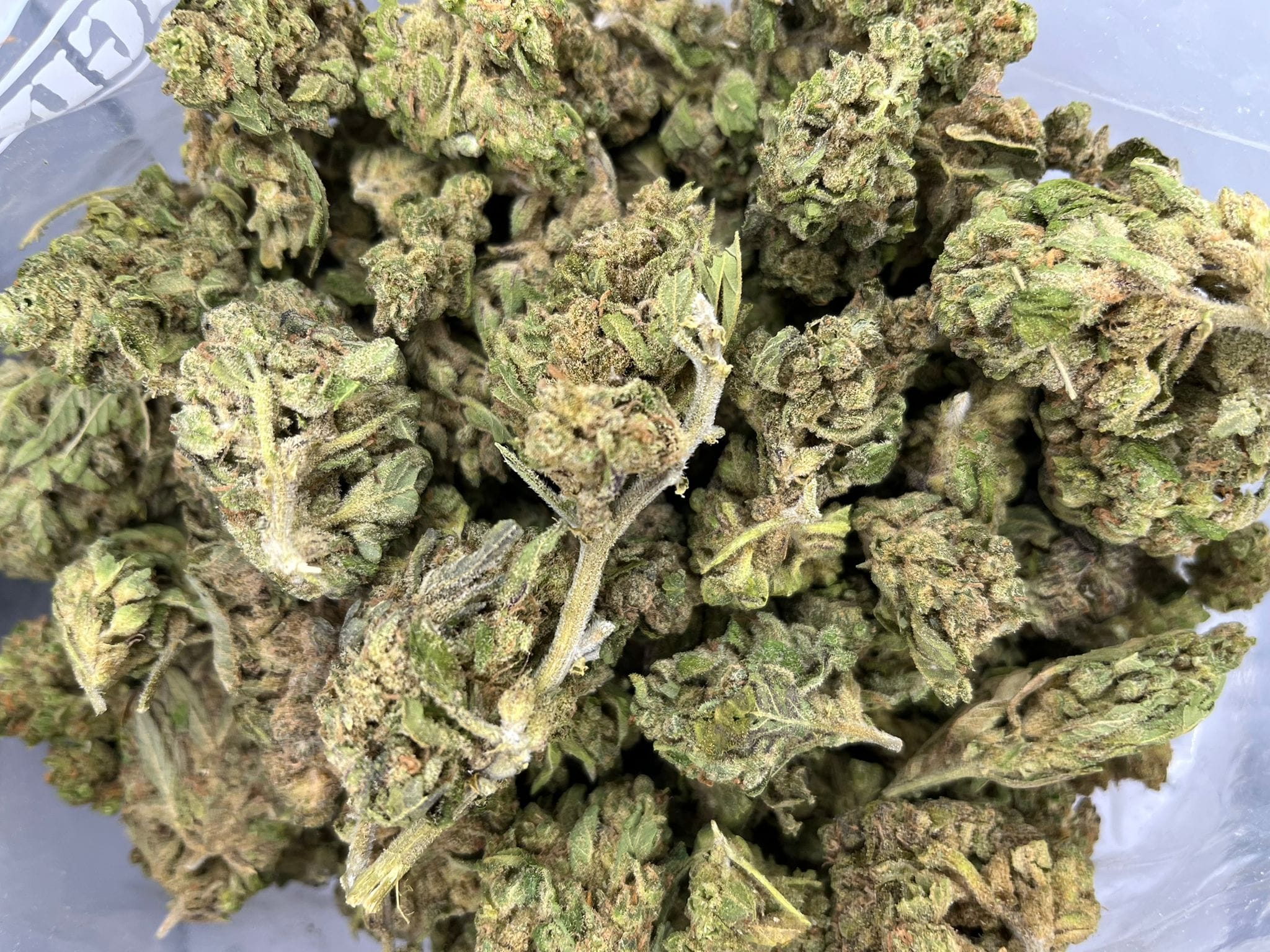 Burmese Kush