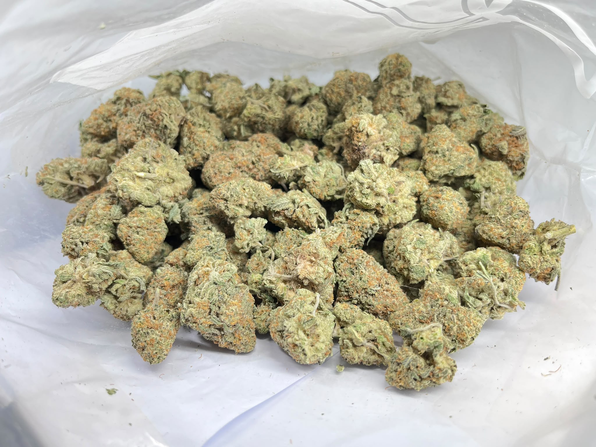 Strawberry Blonde