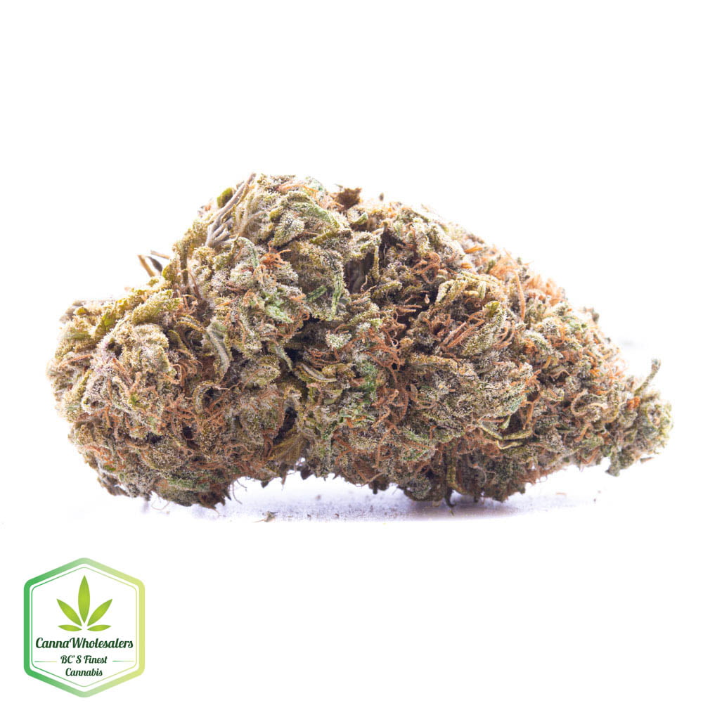 Big Buddha Cheese