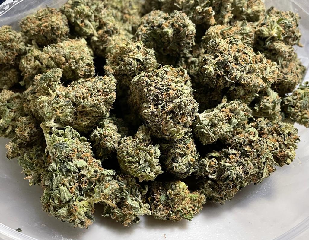 Star Master Kush