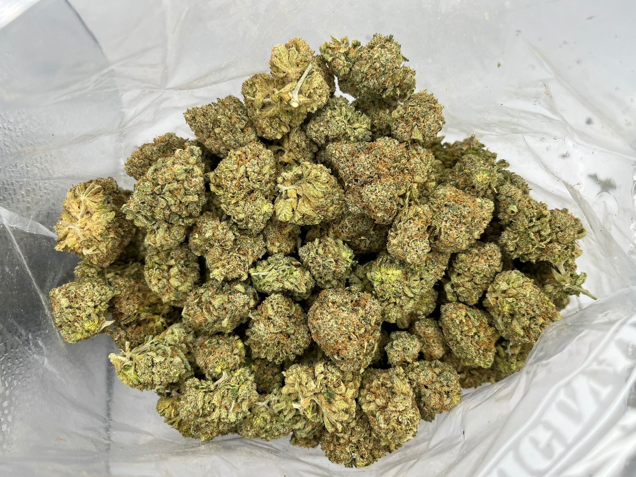 Budget Oz – Super Blue Dream