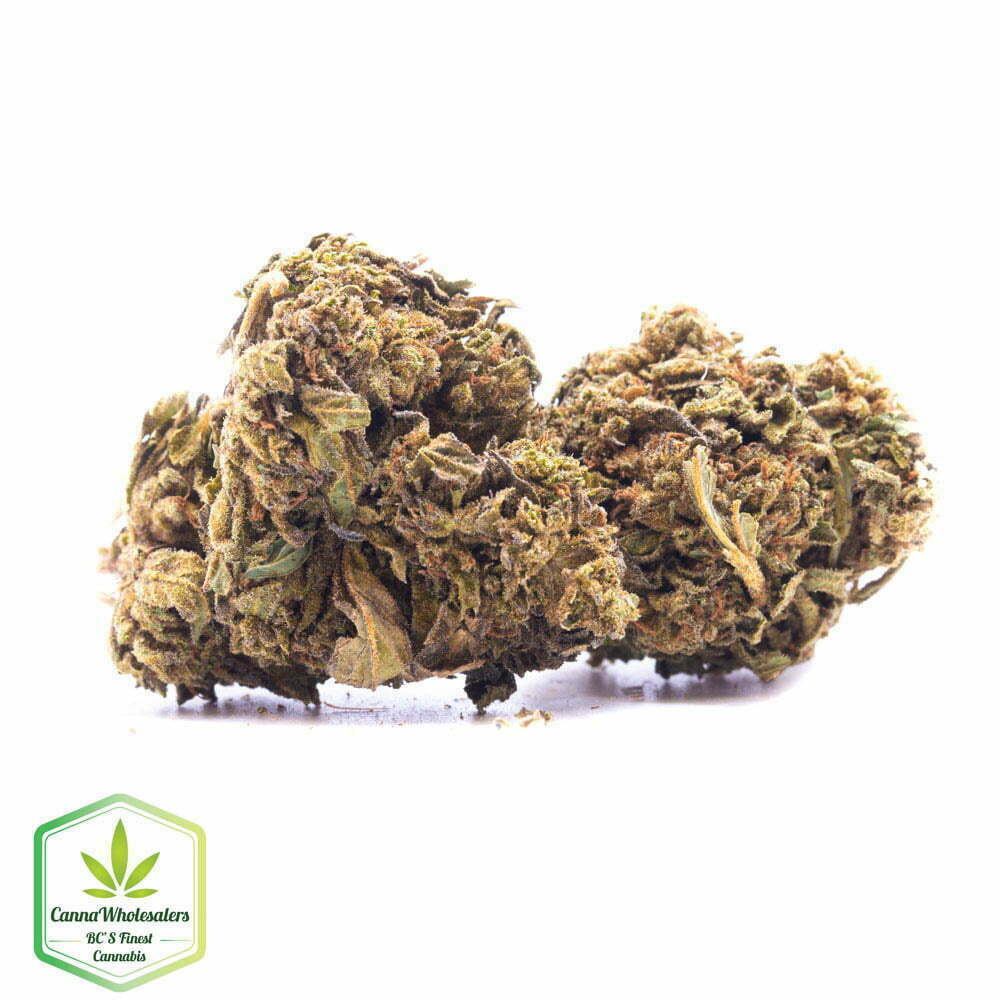 Stoney OG