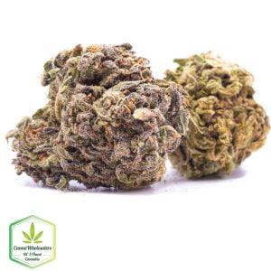 Budget Oz - Afghan Kush
