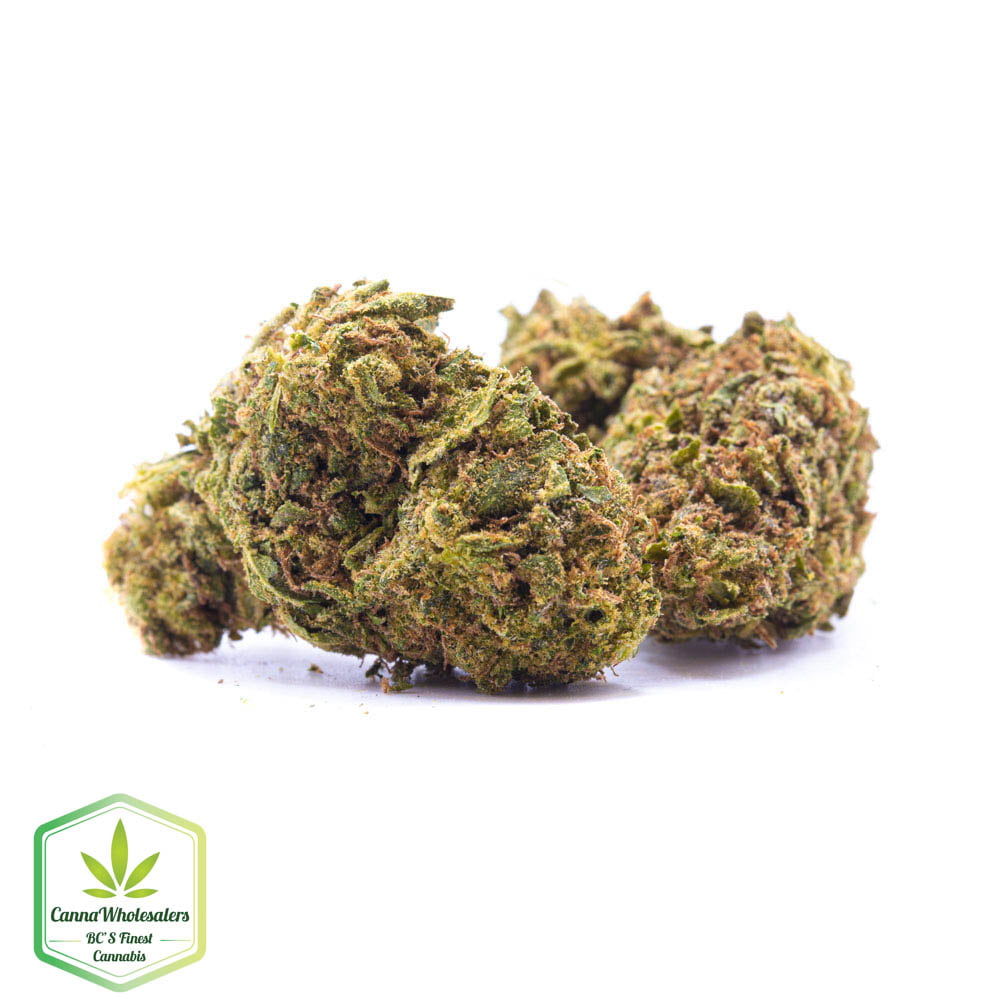 Budget Oz – Citradelic sunset