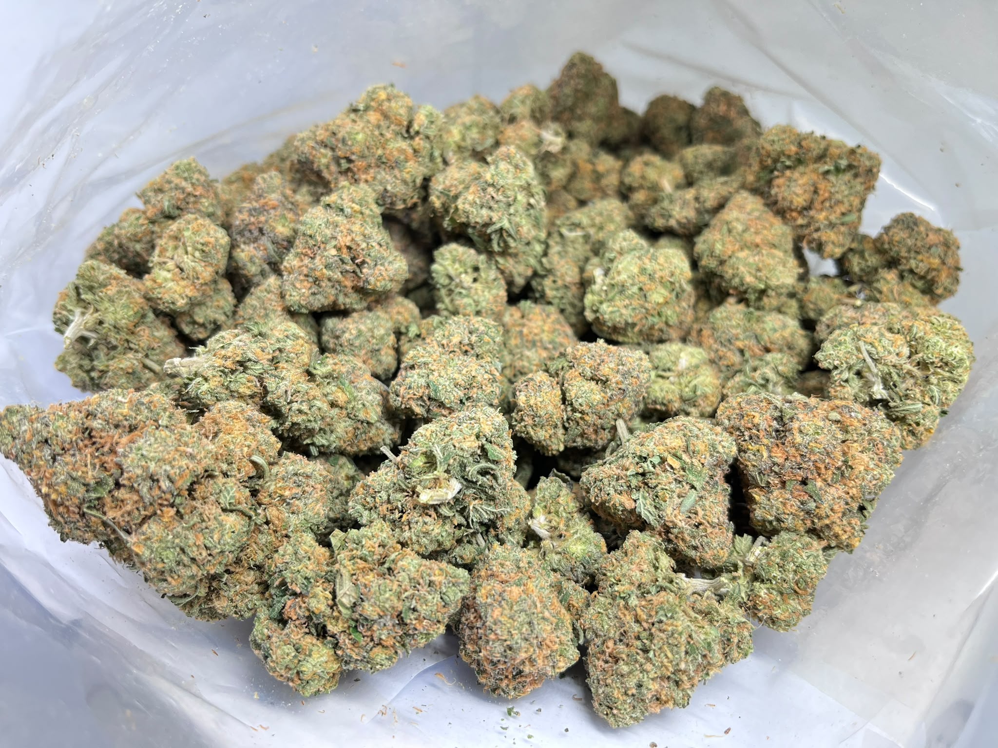 Chaos Kush