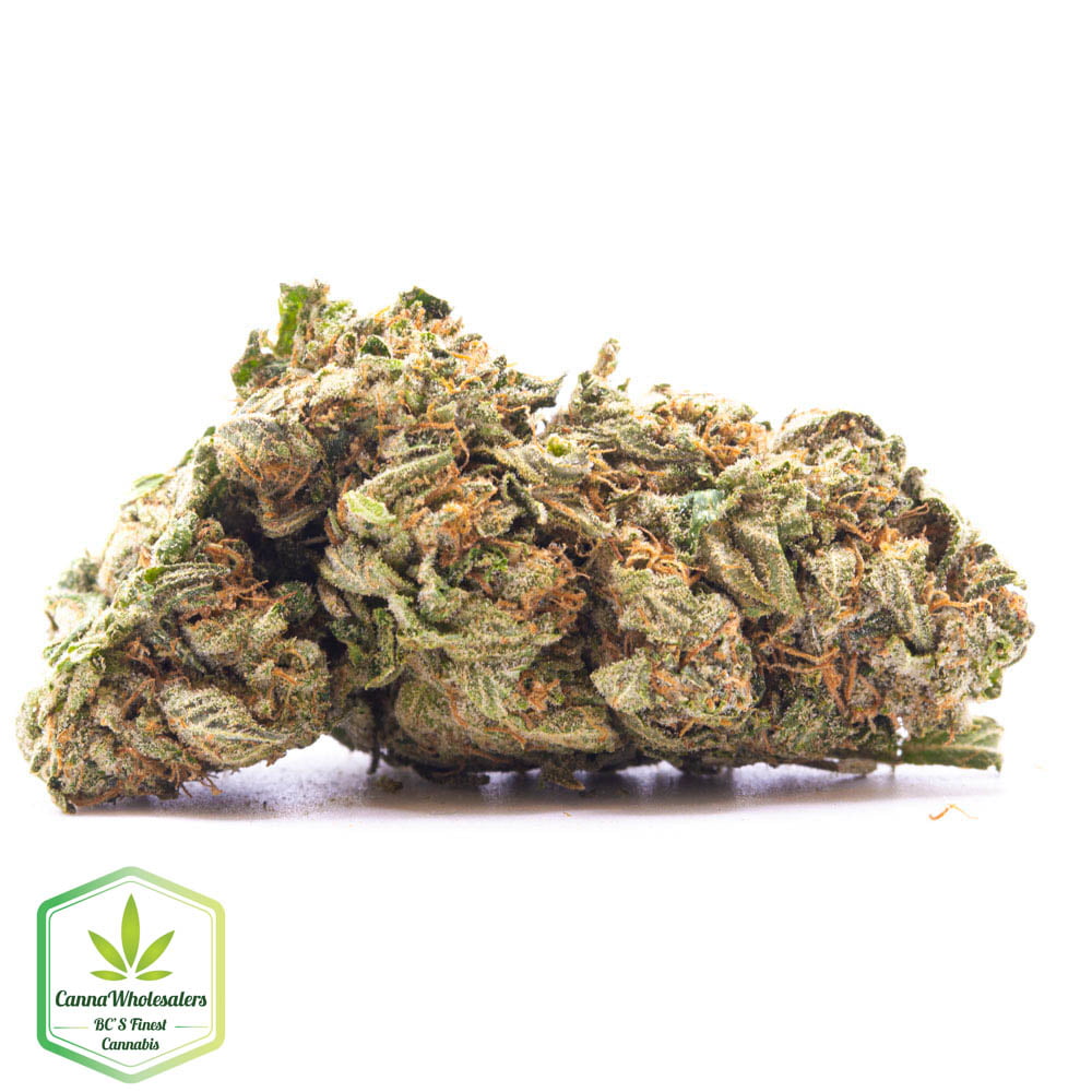 Hazmat OG