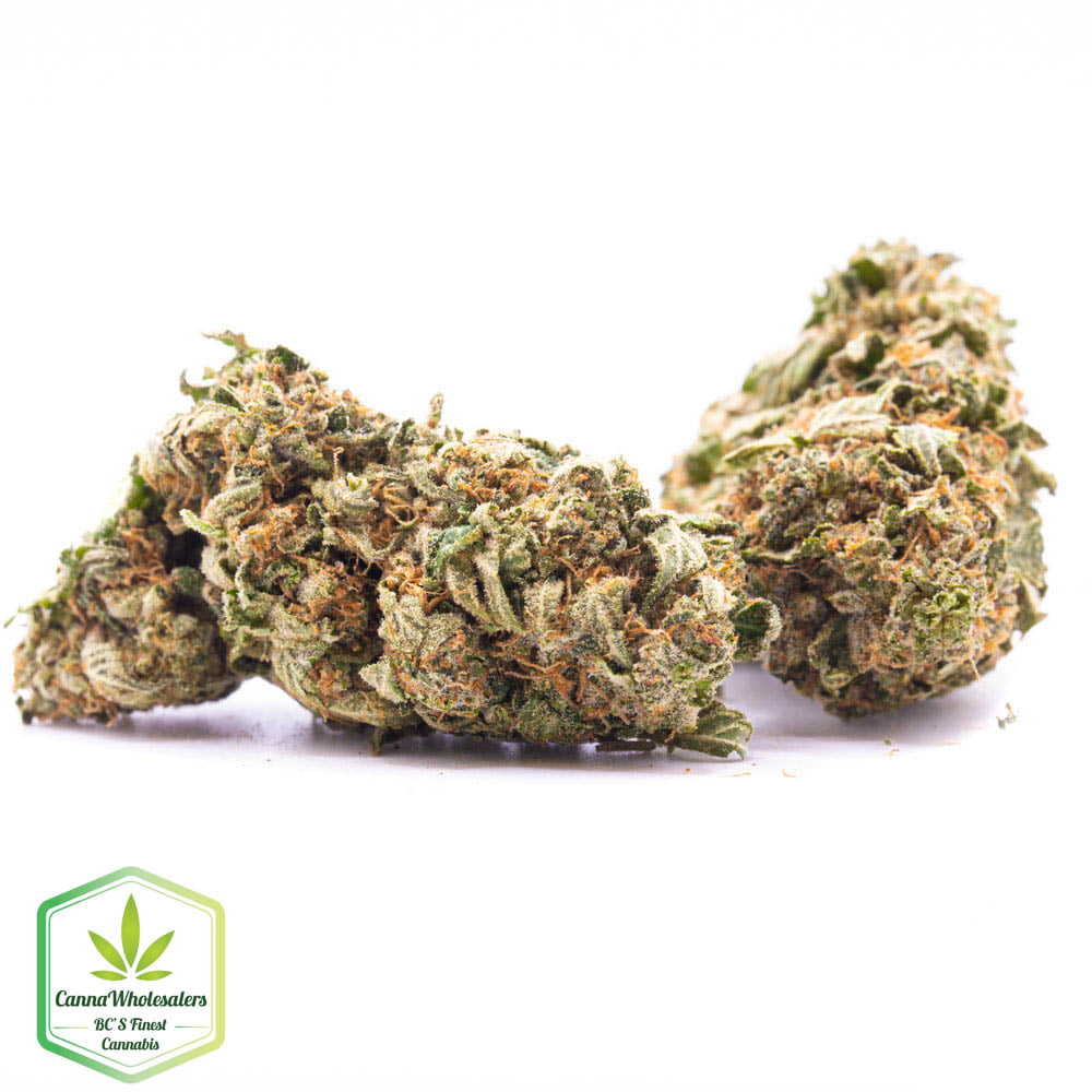 Hazmat OG