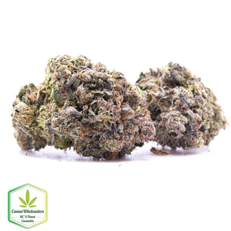 Budget Oz – Pink Rozay