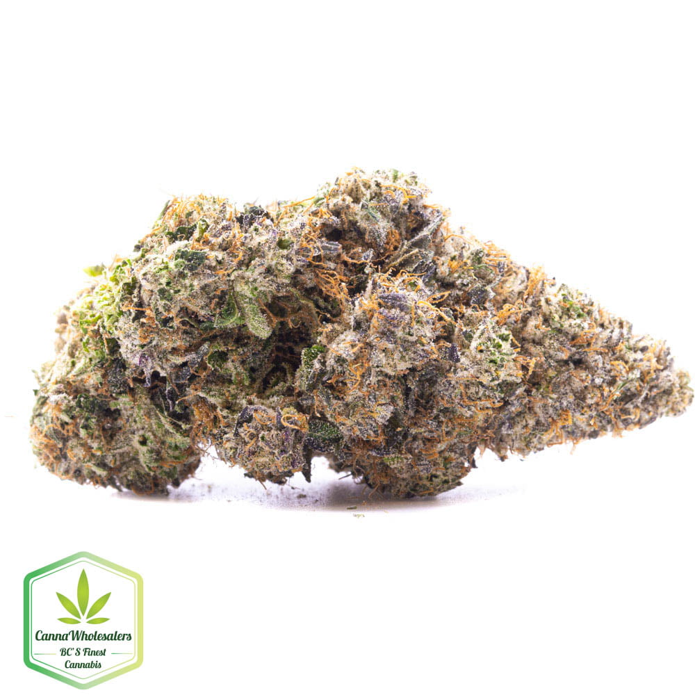 Pluto Kush