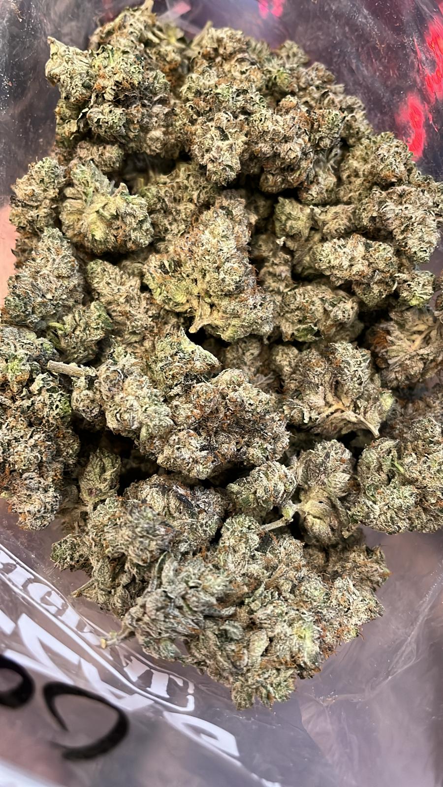 LA Ultra