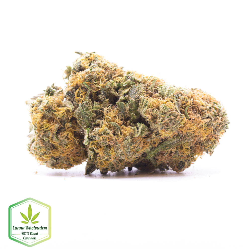 Lemon Sweet Skunk