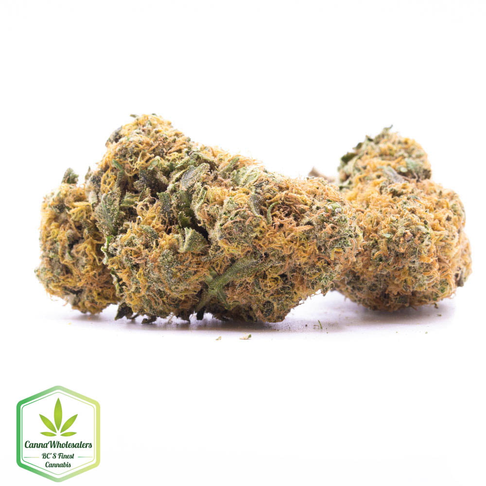 Lemon Sweet Skunk