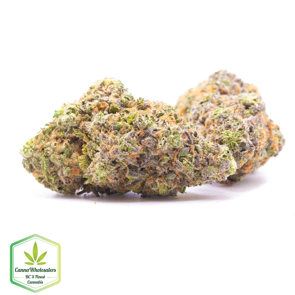 Budget Oz – Platinum Cookies