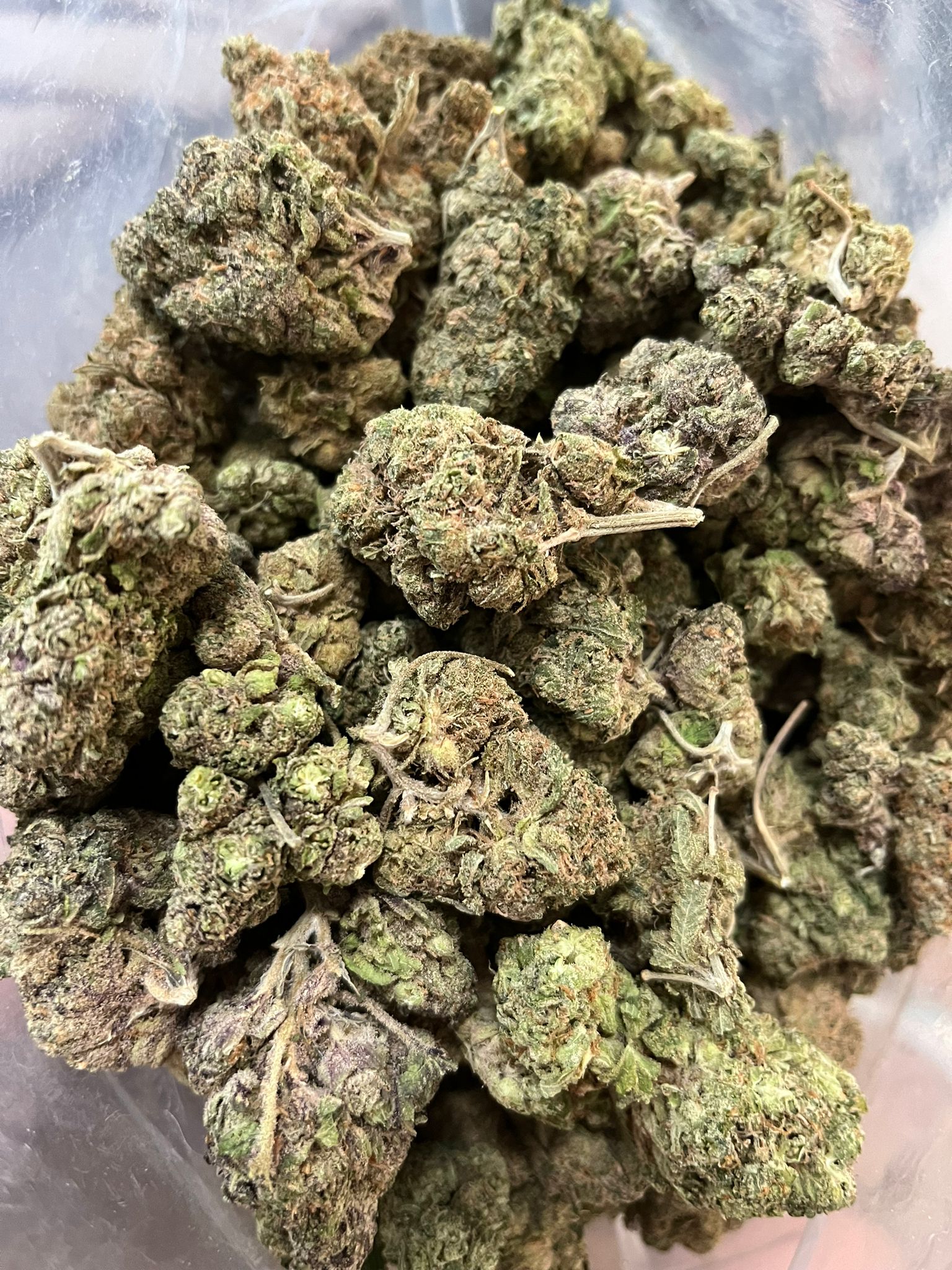 Black Label Kush