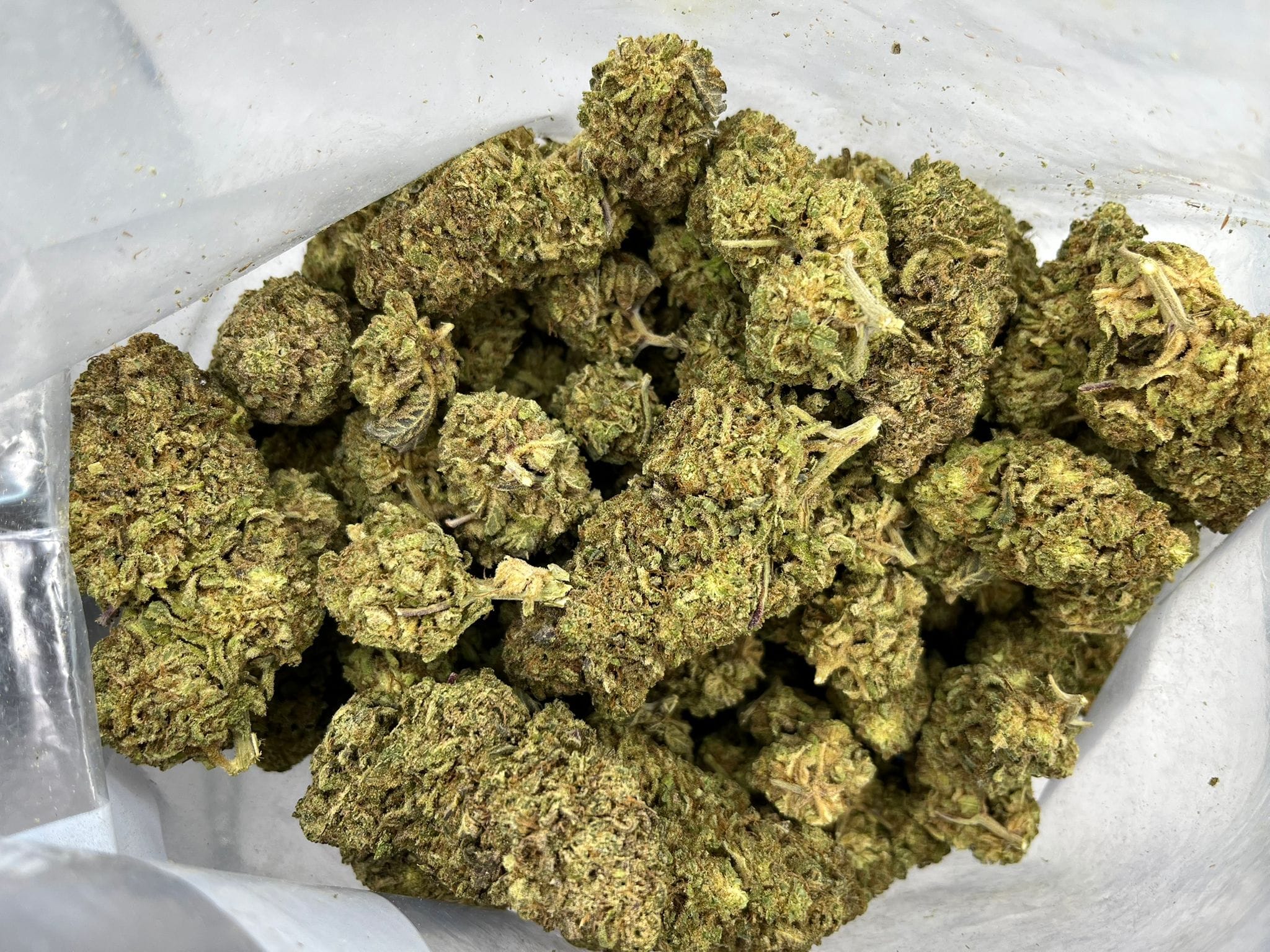 Budget Oz – Cali Kush
