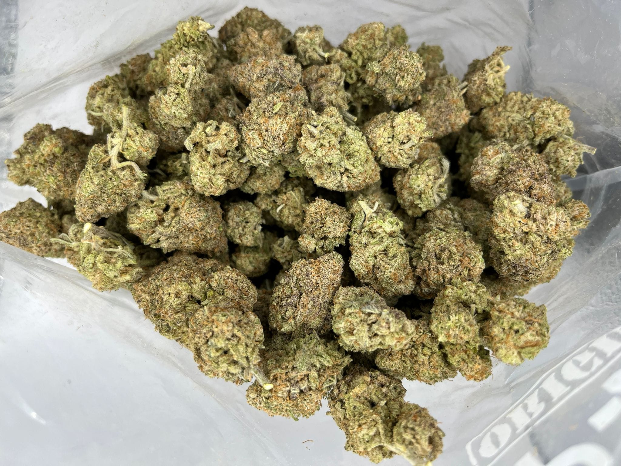Budget Oz – Extreme Cream