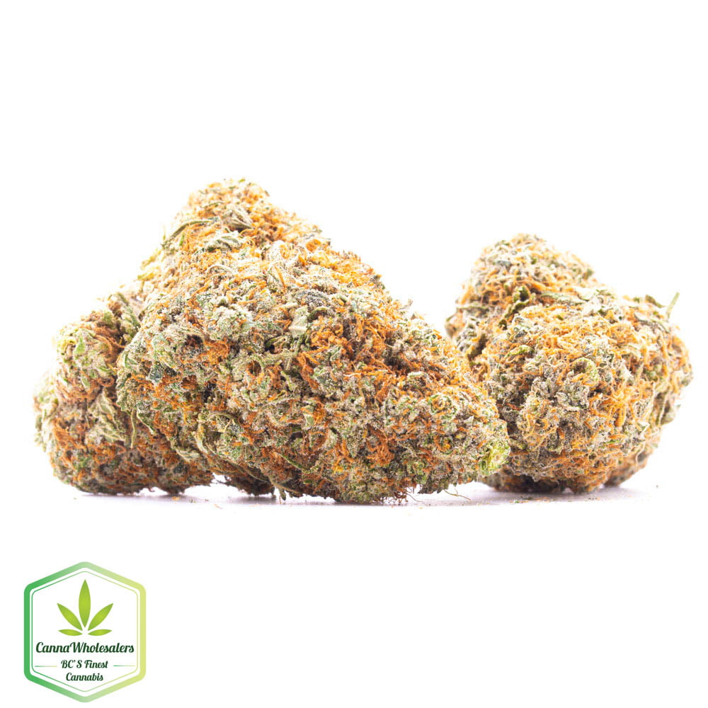Budget Oz – Sour Lemon OG