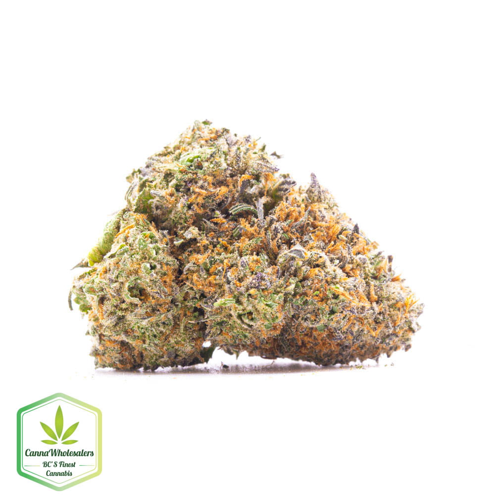 Kimbo Kush