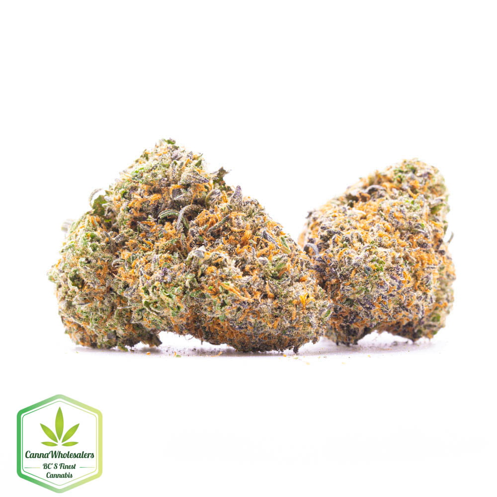 Kimbo Kush