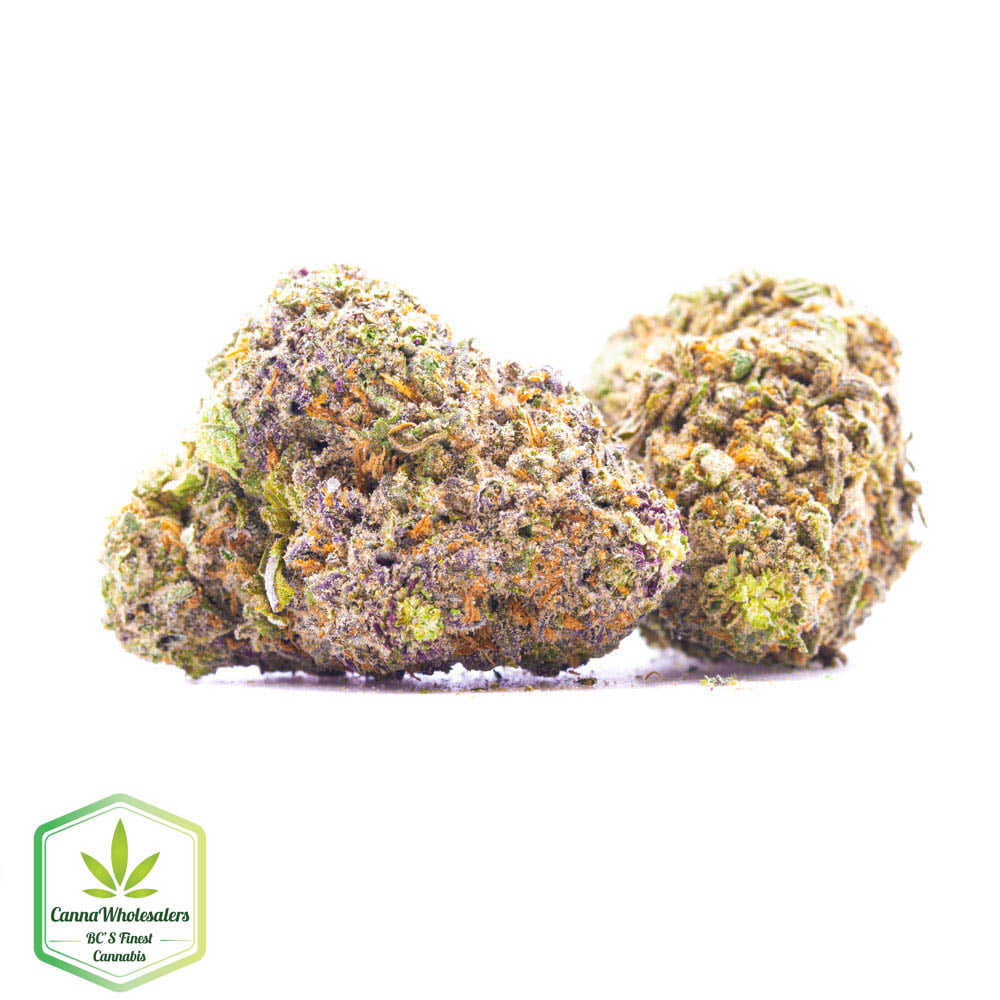 Budget Oz – Motor Cake