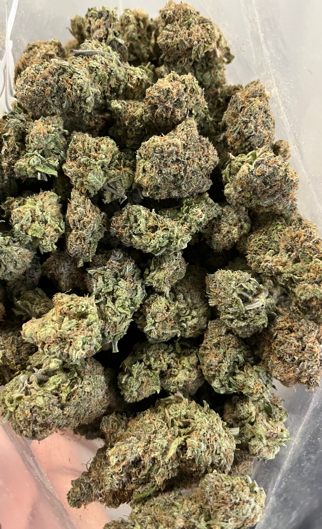 Tangie Cookies