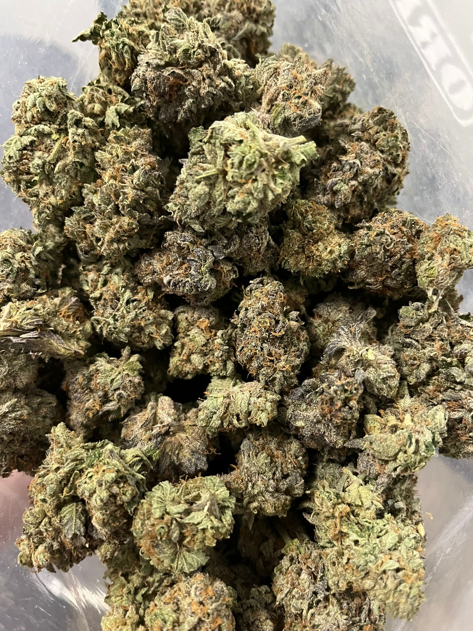 Purple Palm Tree Delight