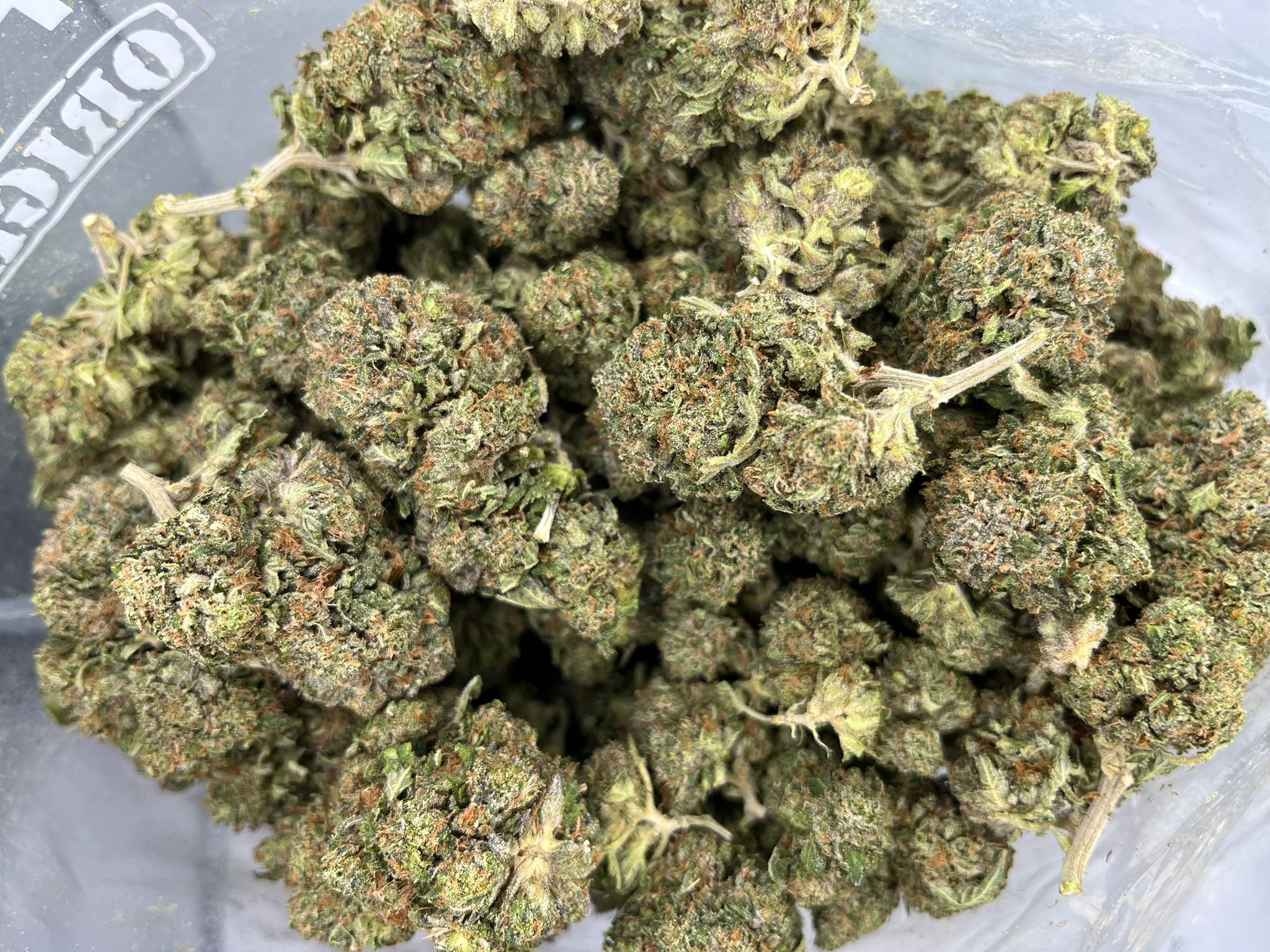Budget Oz – Black Afghan