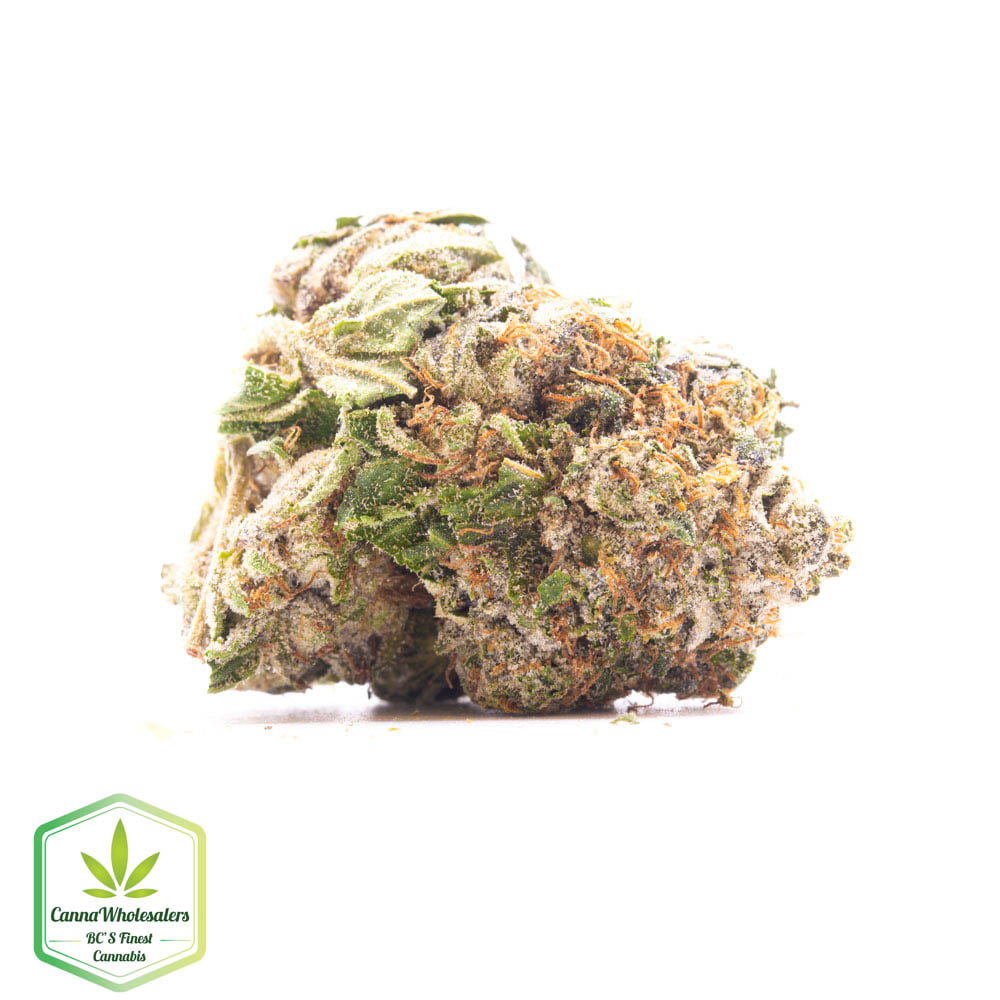 Skunk 47
