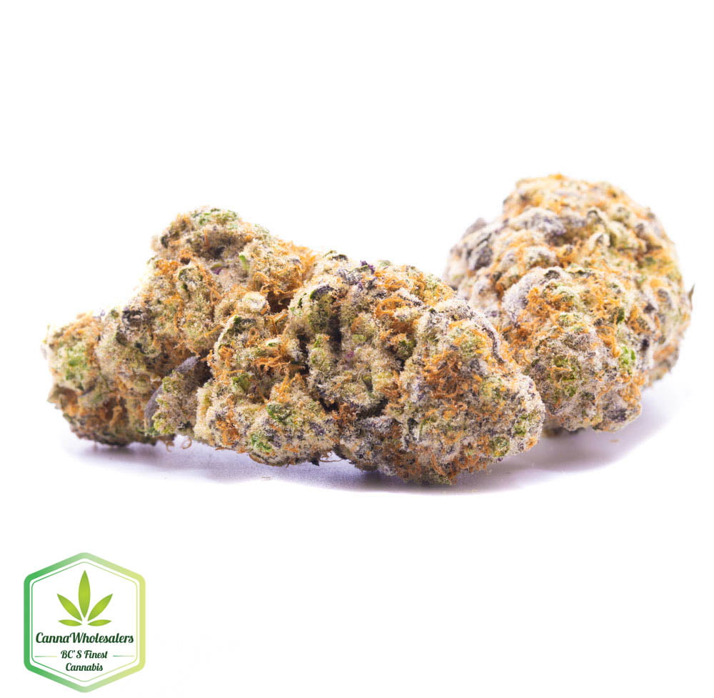 Budget Oz -Tangie Cookies