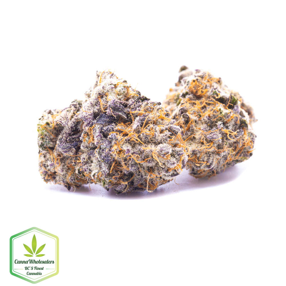 Budget Oz – Ape Diesel