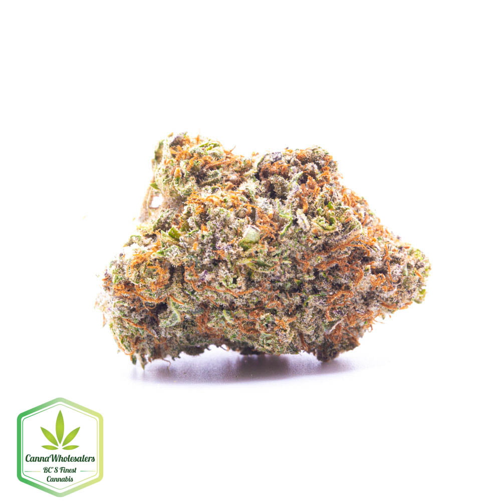 Star Berry Indica