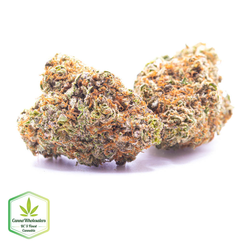 Star Berry Indica